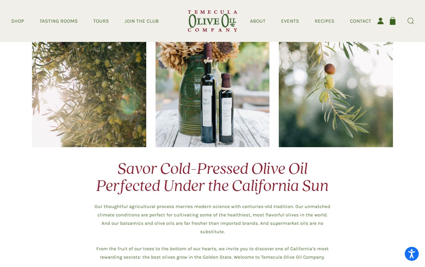 Cynthia Fallis's current site
